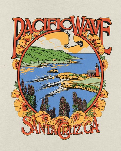 Pacific wave santa cruz - wave,